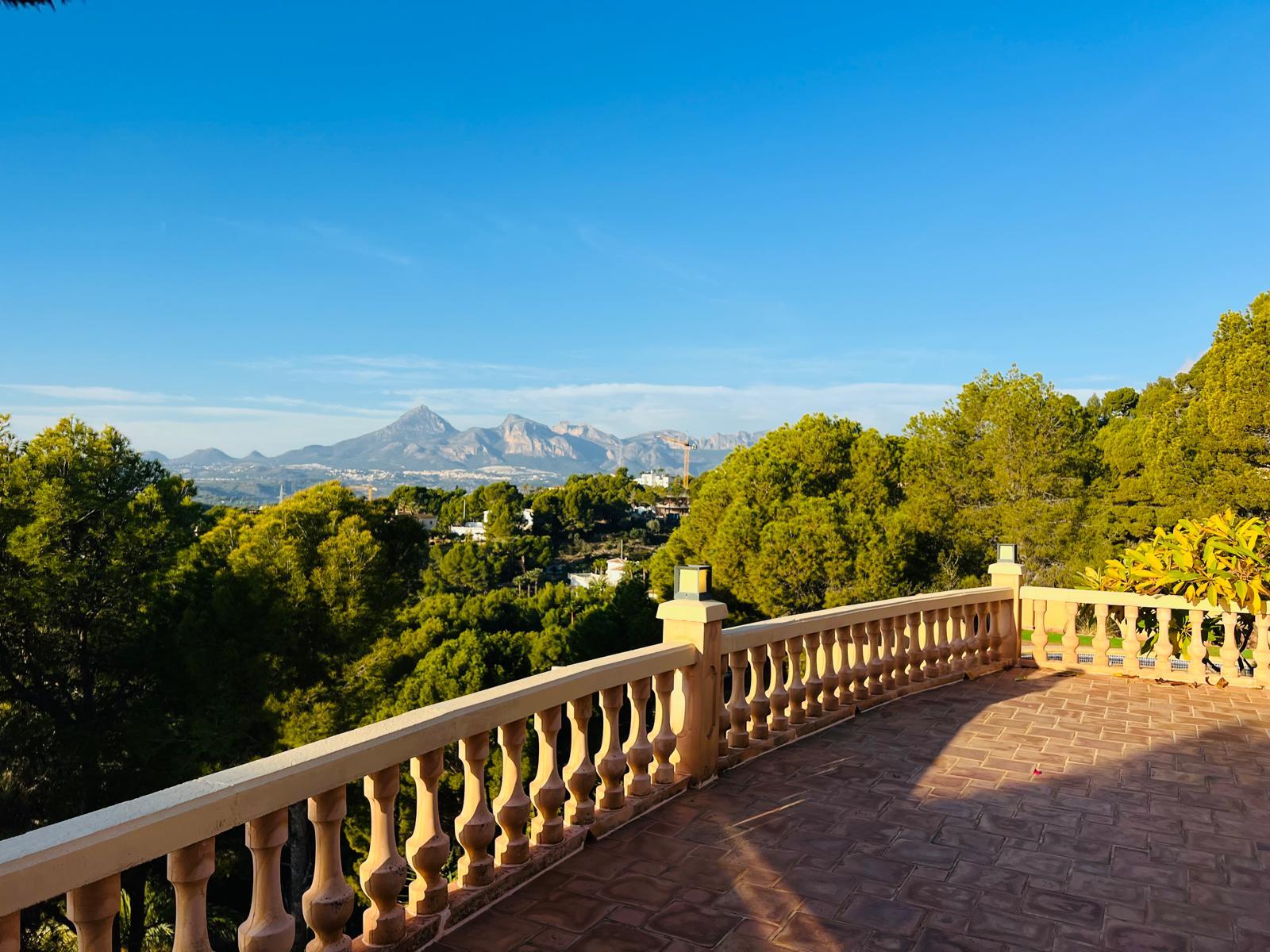 Click here to view more photos Click here to view more photos