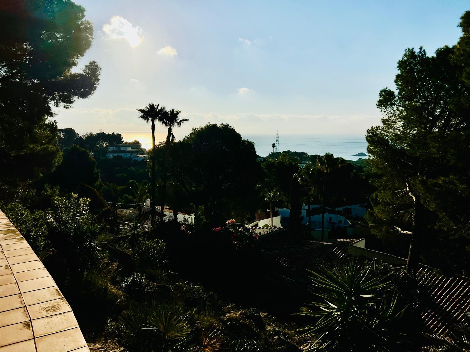 Click here to view more photos Click here to view more photos